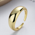 wholesale S925 Sterling Silver Irregular Minimalist Smooth Open Ring Fashion Ins Versatile Finger Ring for Women-0-1