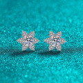 S925 Sterling Silver Full Moissanite Star Stud Earrings-0-4