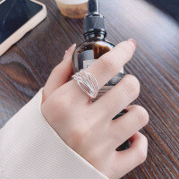 wholesale S925 Sterling Silver Fashionable Cross-border European and American Ins Line Wrapped Open Geometric Irregular Index Finger Ring-1278JM/approx. 4g>Adjustable opening