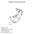 wholesale S925 Sterling Silver Zodiac Birthstone Ring For Women, New Fashion Minimalist Design-0-9