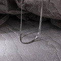 wholesale S925 Sterling Silver Women's Double Layer Snake Bone Chain Ins Minimalist Style Cross-border Wholesale-0-4
