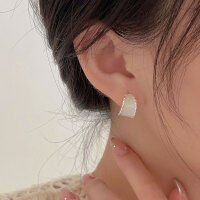 wholesale S925 Sterling Silver Enamel Resin Drop Earrings, Women's Korean Autumn New Trend Minimalist Earrings-Sterling silver