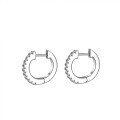 Sterling Silver Round Moissanite Straight Earrings, Classic Fine Craftsmanship-0-3