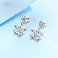 wholesale S925 Sterling Silver Korean Style TikTok Same Simple and Elegant Five-Point Star Pendant Earrings with Moissanite Wholesale-0-1