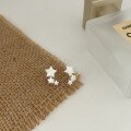 wholesale S925 Sterling Silver Matte Frosted Pentagram Stud Earrings for Women, Small Batch Design, Ins Style Fashionable and Unique Earrings-0-4