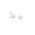 wholesale 999 Silver Korean-style Minimalist Shell Five-Petal Flower Ear Studs for Women, Sweet Earrings M02407-0-4
