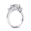S925 Sterling Silver Fashion Commute Zirconia Princess Style Ring Wholesale-0-2
