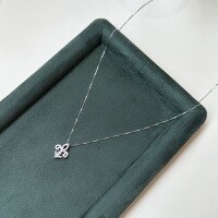 wholesale S925 Sterling Silver Iris Flower Pendant Necklace for Women, Luxury Minimalist Diamond-Accented Collarbone Chain-Platinum 925 silver
