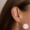 wholesale S925 Sterling Silver Ins-style Chain Tassel Crystal Earrings-0-3