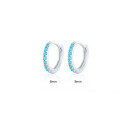 wholesale 925 Sterling Silver Light Luxury Circle Earrings With Colorful Zircon, Cross-border Hot-selling Minimalist Earrings For Women And Men-0-23