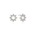 wholesale S925 silver zirconia star-shaped earrings, octagonal star style, Korean and Japanese version, popular women's jewelry, diamond-encrusted earrings-0-4