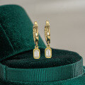 14K Gold Plated S925 Silver Rectangle Women's Earrings with Moissanite-0-0