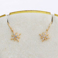 wholesale S925 Sterling Gold-Plated New Japanese Fashion Octagram Earrings with Natural African Opal-0-2