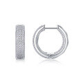 wholesale S925 Silver Vintage Hoop Earrings with Moissanite, New Style, Amazon Cross-Border Best-Seller, Ready-to-Ship Source Jewelry-0-4