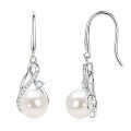 Metal Classic Princess Pearl Zircon Earrings, Cross-Border Best-Seller-0-16