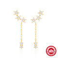 wholesale S925 Sterling Silver Flower and Diamond Earrings with Star Design, Popular in Europe and the US-0-6