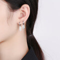 wholesale S925 Sterling Silver Asymmetric Tag Tassel Earrings in Ins Style, Street Chic and Versatile for Good Luck-0-2