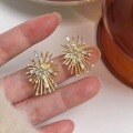 wholesale S925 Sterling Silver Blooming Fireworks with Meteor Shower and Rhinestone Stud Earrings, Unique Design and Distinctive Elegance-0-5
