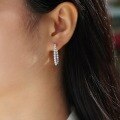 wholesale Metal S925 Silver Earring Moissanite Stud New Hoop Temu Amazon Hot Selling Ear Jewelry Wholesale-0-3