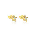 wholesale S925 Sterling Silver Star Tassel Inlaid With Zircon Earrings For Women, European And American French Stylish Personality High-end Sense-0-17