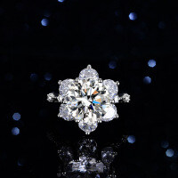 S925 Silver Sunflower Six-Claw 5-Carat Moissanite Starry Maiden Solitaire Ring-5 carats (empty setting)  size 16