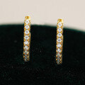 18K Gold Plated S925 Silver Moissanite Straight Stud Earrings-0-0