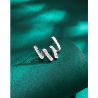 wholesale 925 Sterling Silver Shell Earrings for Women, Summer Elegant, Minimalist Geometric Stud Earrings, Niche Design, Luxurious and High-End Jewelry-Shell Earrings-with Plastic Earplugs>925 Silver