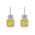wholesale 925 Silver 5-carat Square CZ Earrings for Women, Full Diamond Luxury Style-0-5