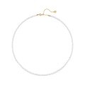 wholesale 925 Silver Freshwater Pearl Short Necklace Minimalist Fashion Elegant Rice Pearl Accessory Choker Chain Korean Style Collarbone Chain-0-4