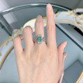 wholesale 925 Silver Women's Moojing Jewelry New 5*7 Paraiba Color Ring with Design Sense,-0-3