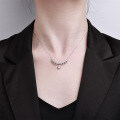 S925 Silver Elegant Princess Necklace, Women's Autumn Winter Versatile Minimalist Collarbone Chain-0-2
