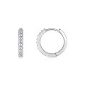 wholesale 925 Sterling Silver Fashionable and Popular Moissanite Hoop Earrings for Cross-Border Style, Luxurious High-End Elegance-0-9