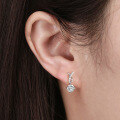 wholesale S925 Sterling Silver Earrings with White Zircon, Korean Style Slimming Earrings, Direct Factory Wholesale-0-4