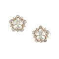 wholesale 925 Sterling Silver Summer New Fashion Five-Petal Flower Shell Cherry Blossom Women's Stud Earrings High-End Feel Best-Seller Wholesale-0-4