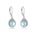 wholesale 925 Sterling Silver Moonstone Earrings for Women, Euro-American Luxury High-End Ear Drops, Amazon Cross-Border Tree of Life Ear Accessories-0-4