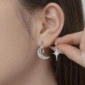 wholesale S925 Sterling Silver Light Luxury INS Style Women's Earrings, High-End Creative Star and Moon Design, Exquisite and Fashionable Versatile Ear Accessories for Women-0-1