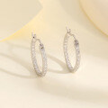 wholesale Metal S925 Moissanite Stylish Hoop Earrings for Women, Ins Style Minimalist Design Earrings, Ready to Ship, Cross-Border Best Seller-0-2