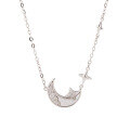 wholesale 925 Sterling Silver White Mother-of-Pearl Shining Star and Moon Necklace for Women, Small and Trendy High-End Design, New Style Versatile Collarbone Chain-0-4