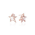 wholesale Sterling Silver Zircon Pentagon Star Earrings with Diamond Inlay, Minimalist Style, Niche Design, Valentine's Day Gift-0-4