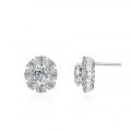 S925 Silver Four-Prong Earrings with Oval, Square, and Fancy-Cut Moissanite-0-0