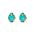 wholesale S925 silver plated with 14K gold, white crystal and turquoise earrings, Dunli Jewelry 25th anniversary spring limited edition-0-4