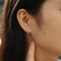 wholesale S925 Sterling Silver New Fashion Trendy Ear Hoops for Women, High-End Sense Sweet Commute Live Streaming Hot-Sell Lady Moissanite Earrings-0-3
