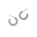 wholesale S925 Sterling Silver Korean Version Ins Minimalist Design C-Shape Micro-Paved Zircon Textured Earrings for Women-0-4
