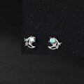 wholesale 925 Sterling Silver Fresh and Sweet Ins-Style Niche Design Diamond-Inlaid Moon Thread Earrings M06633-0-3
