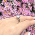 S925 Sterling Silver Fashion Zircon Ring for Women-0-0