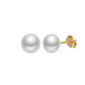 wholesale S925 Sterling Silver Cloud-Pull Earrings with Simple Design Near-Round 3-6mm Freshwater Pearls, Korean Style Manufacturer-0-14