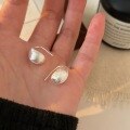 wholesale S925 Sterling Silver Teardrop Frosted Earrings Women's Light Luxury Fashion Design Ear Studs Trendy-0-1
