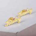 wholesale Gold-plated Birthstone Name Earrings for Women, DIY Cross-border Hot-seller Versatile Name Earrings Gift-0-3