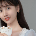 wholesale S925 silver cute hollow-out cat ear short stud earrings summer Korean style women sweet ear accessories G9806-0-2