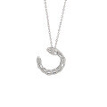wholesale 925 Sterling Silver New Full Diamond C-Shaped Serpent Necklace for Women, Light Luxury Niche High-End Sense Birth Year Collarbone Chain-0-4